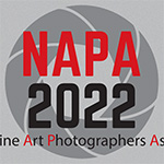 Nippon Fine Art Photographers Association
